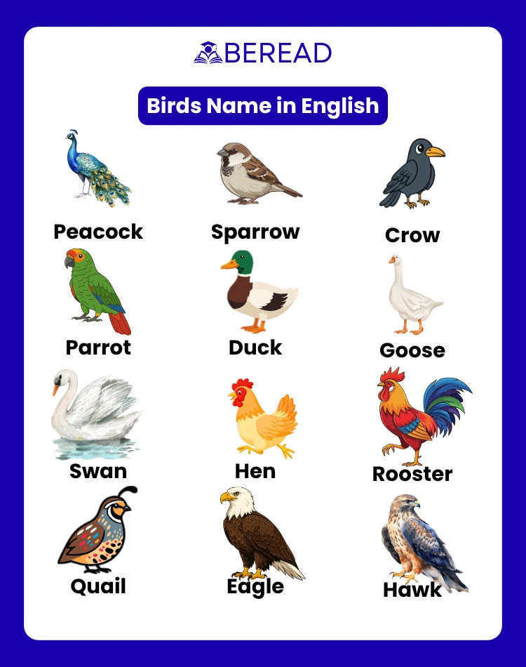 Birds Name in English